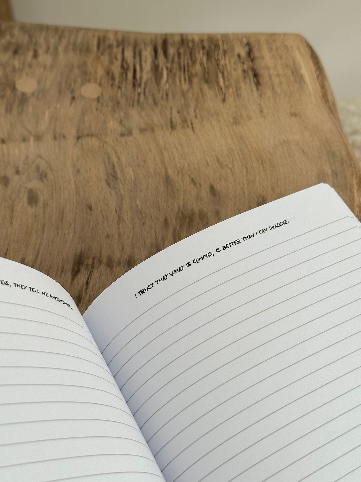The Journal