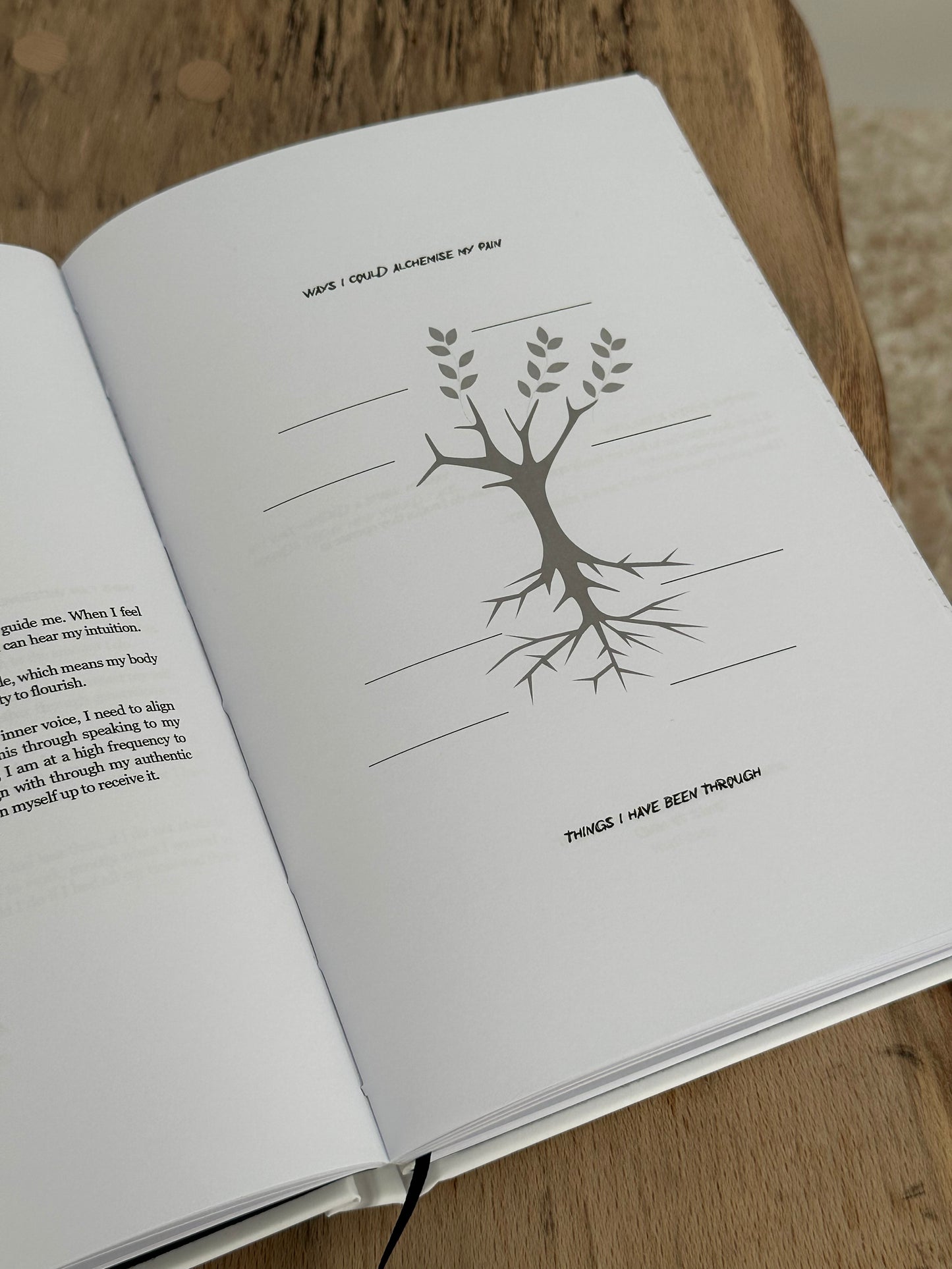 The Journal
